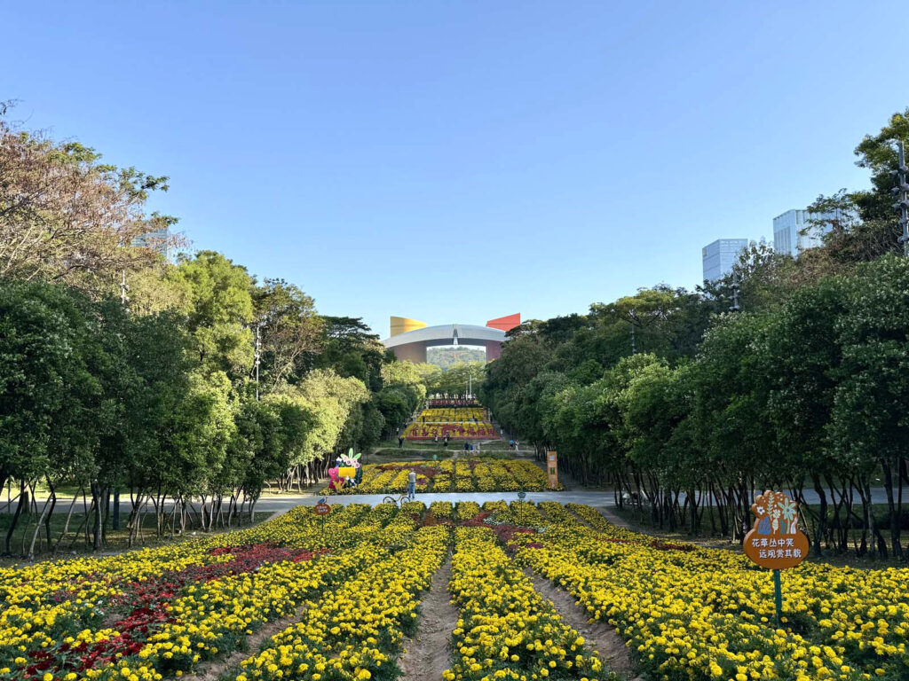市民中心南広場「市民花田」のマリーゴールドの花畑